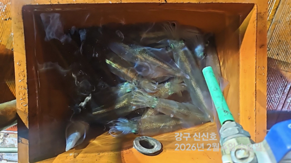 신신낚시 강구점 신신호_사진_20260205_7.jpg