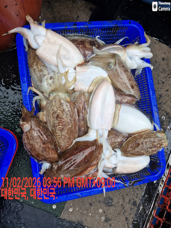 제주갈치낚시 화원호_사진_20260212_12.jpeg