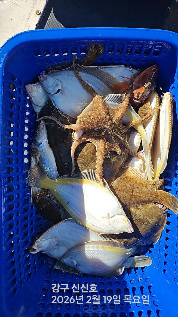 신신낚시 강구점 신신호_사진_20260219_16.jpg