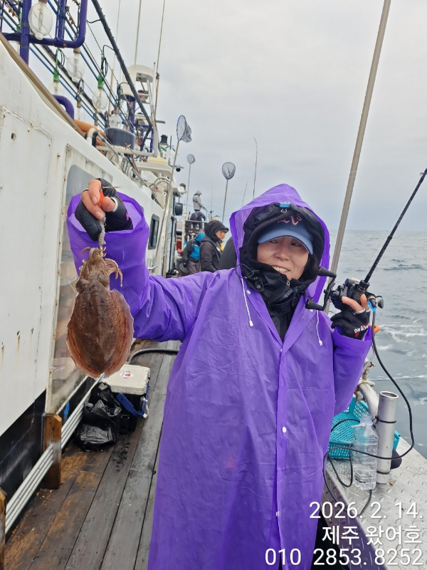 제주왔어호_사진_20260215_21.jpg
