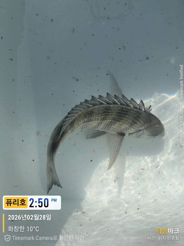 2026-02-28 14.50.04_(제목-퓨리호).jpeg