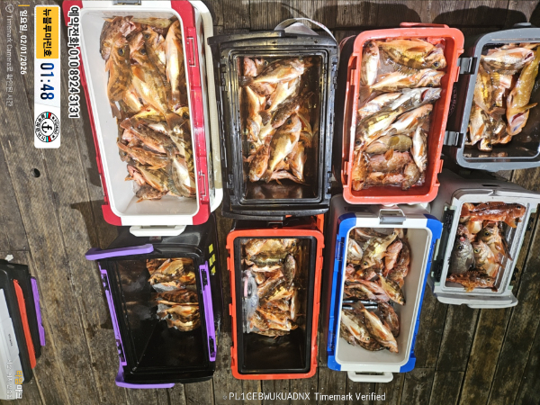 2026-02-01 01.48.38__(제목-뉴블루마린호)_(예약전화 010 8924 3131).jpg