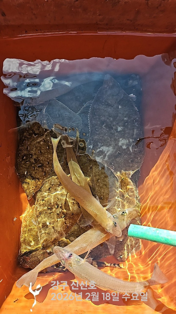 신신낚시 강구점 신신호_사진_20260218_7.jpg