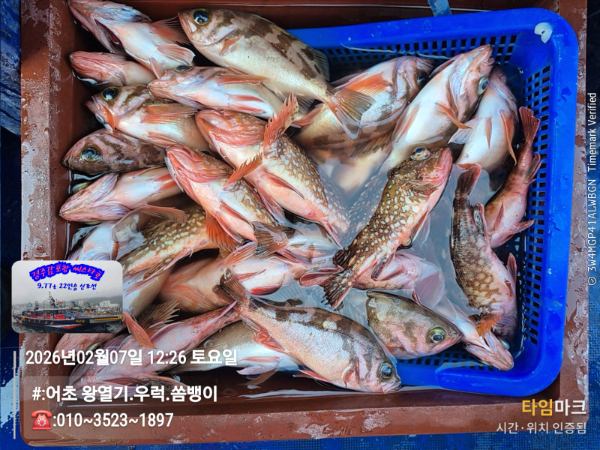 2026-02-07 12.26.11__(#-어초 왕열기.우럭.쏨뱅이)_(-010~3523~1897).jpg