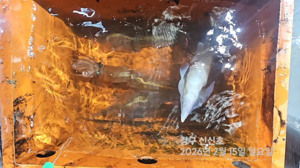 신신낚시 강구점 신신호_사진_20260216_16.jpg