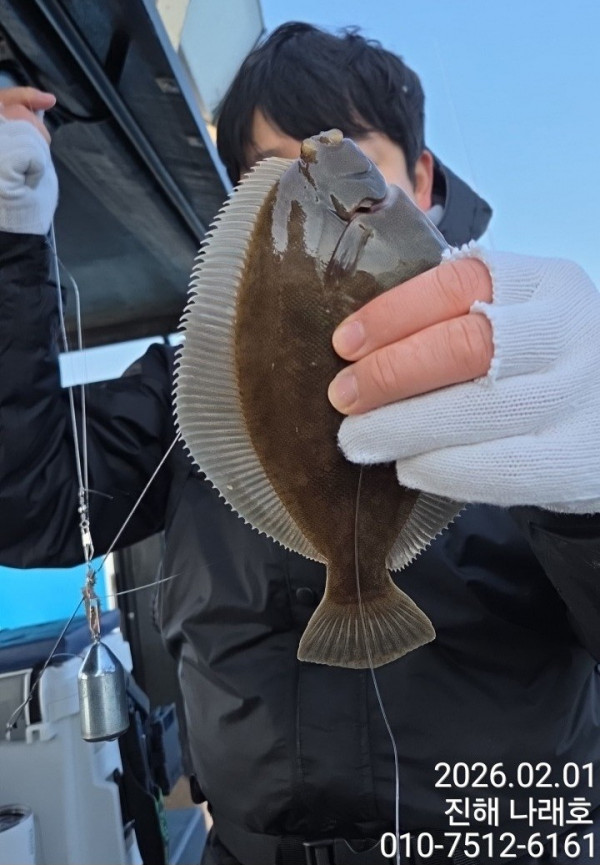 나래피싱(문어,낙지,갈치,호래기,감성돔)_사진_20260202_8.jpg