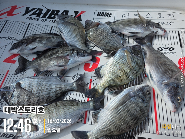 2026-02-16 12.46.48__(대박스토리호).jpg