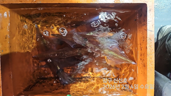 신신낚시 강구점 신신호_사진_20260205_13.jpg