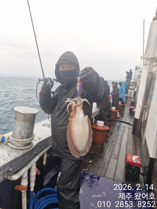 제주왔어호_사진_20260215_26.jpg