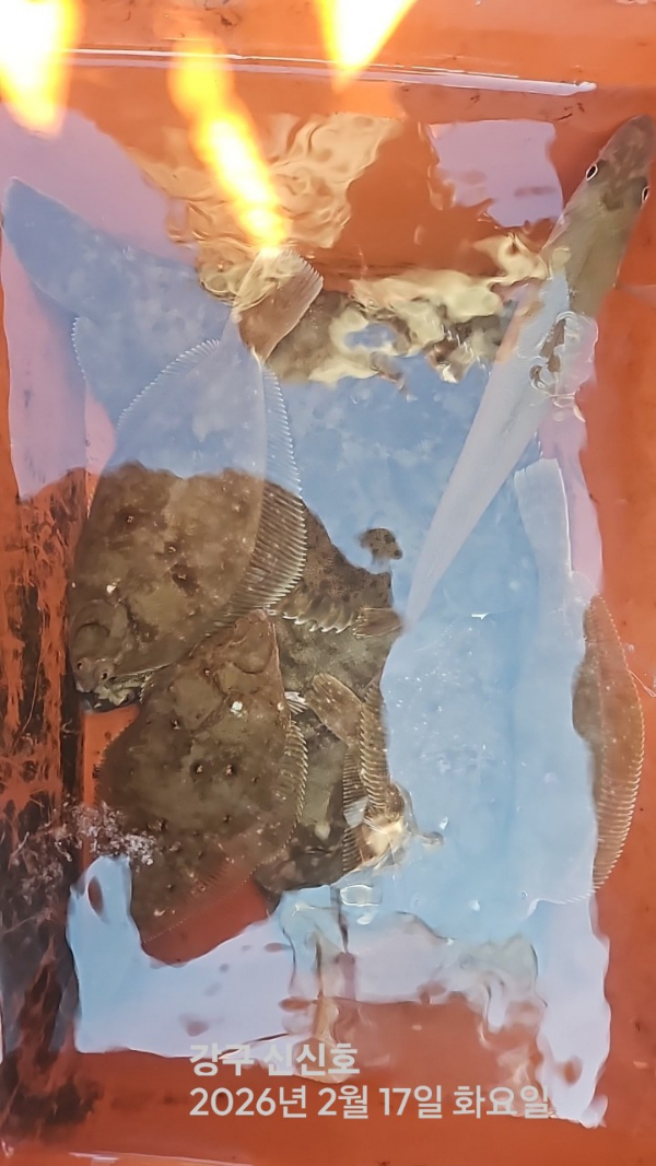 신신낚시 강구점 신신호_사진_20260217_8.jpg