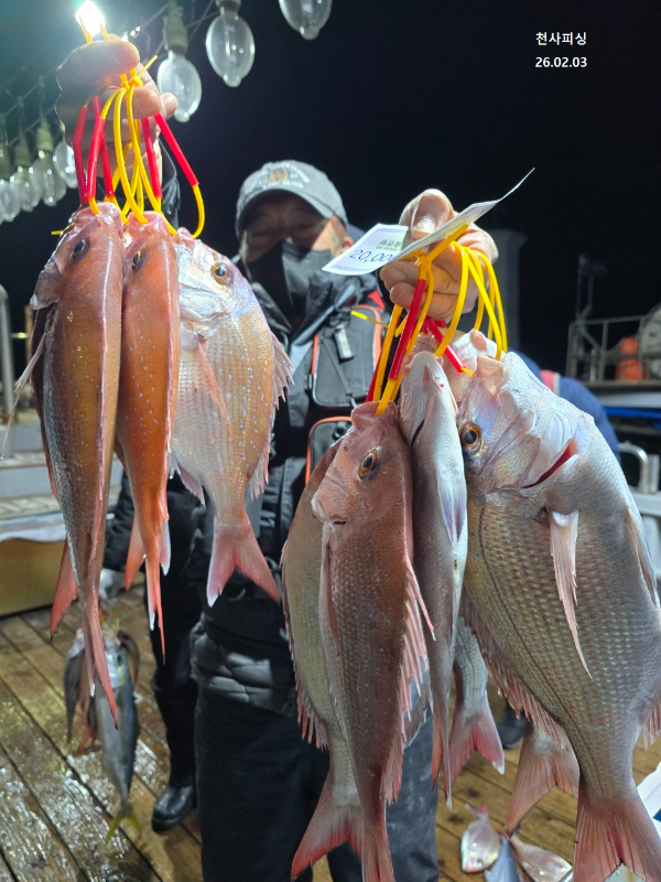 1004피싱_사진_20260203_10.jpg