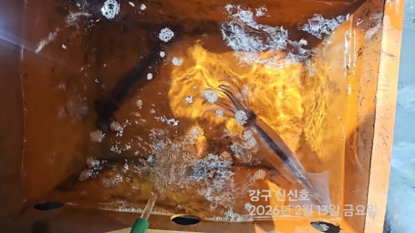 신신낚시 강구점 신신호_사진_20260214_12.jpg