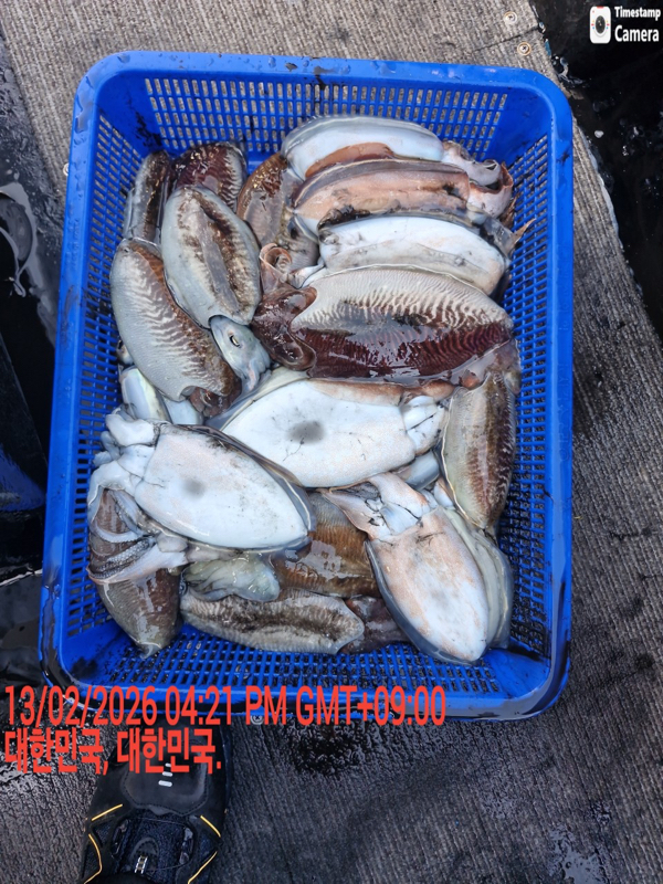 제주갈치낚시 화원호_사진_20260214_17.jpeg