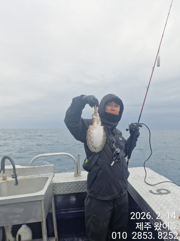 제주왔어호_사진_20260215_30.jpg