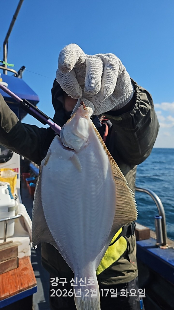 신신낚시 강구점 신신호_사진_20260217_2.jpg
