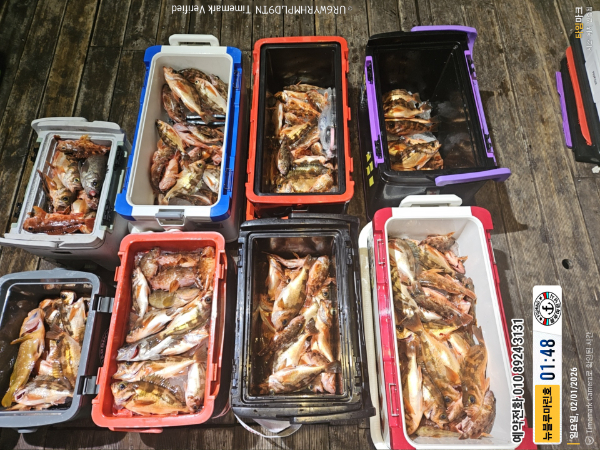 2026-02-01 01.48.37__(제목-뉴블루마린호)_(예약전화 010 8924 3131).jpg