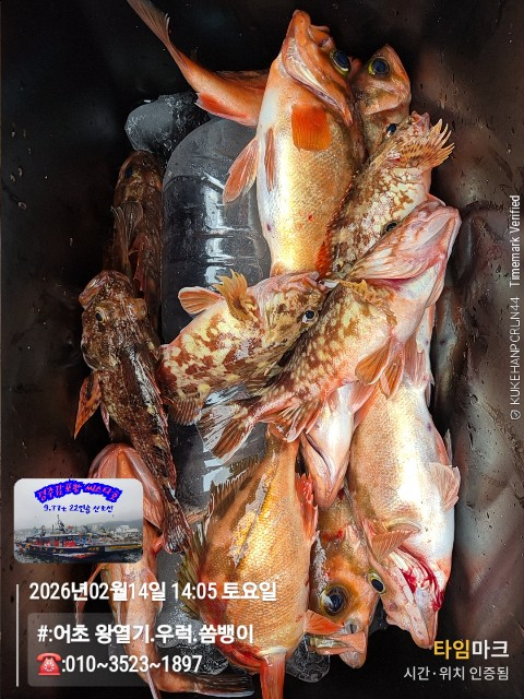 2026-02-14 14.05.09__(#-어초 왕열기.우럭.쏨뱅이)_(-010~3523~1897).jpg