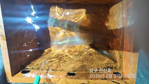 신신낚시 강구점 신신호_사진_20260222_4.jpg