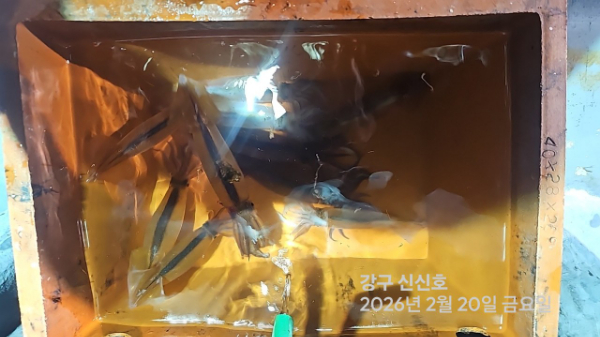 신신낚시 강구점 신신호_사진_20260221_13.jpg