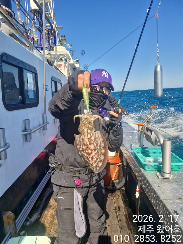 제주왔어호_사진_20260218_23.jpg