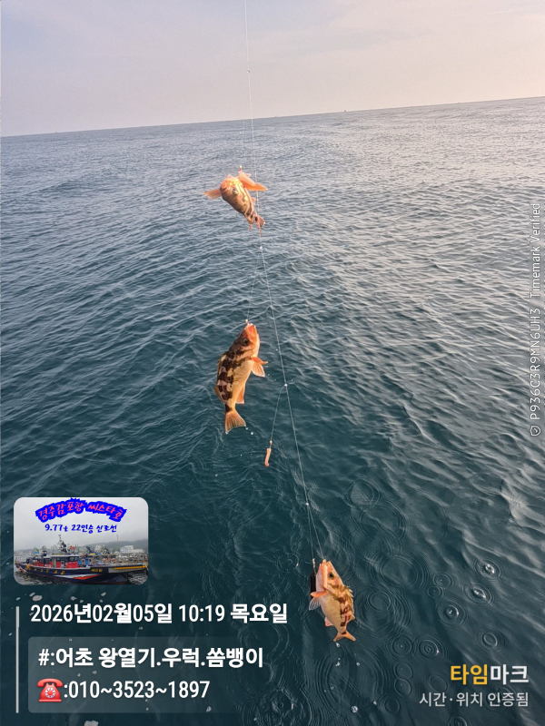 2026-02-05 10.19.35__(#-어초 왕열기.우럭.쏨뱅이)_(-010~3523~1897).jpg