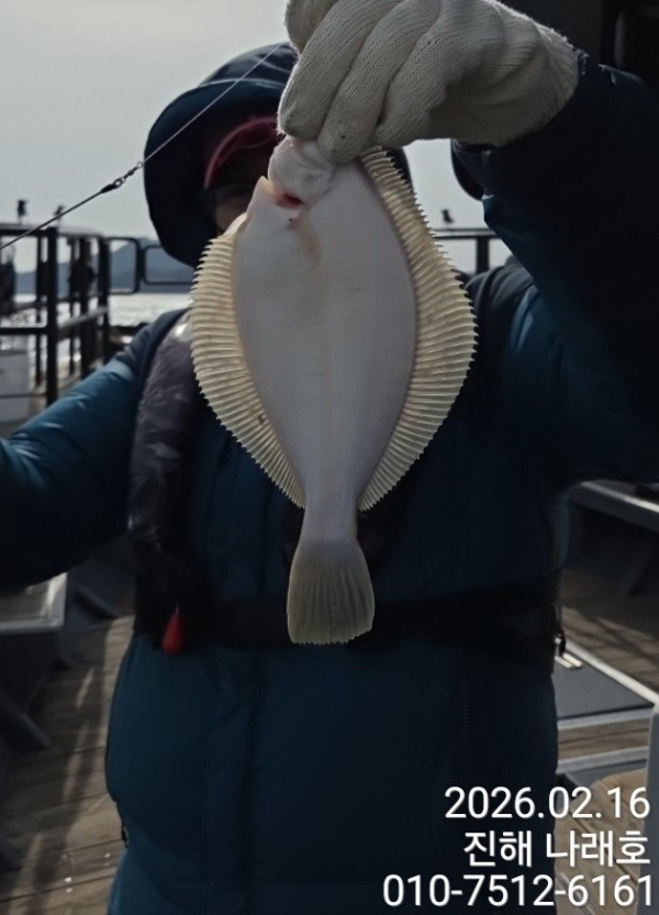 나래피싱(문어,낙지,갈치,호래기,감성돔)_사진_20260218_10.jpg