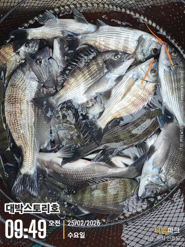 2026-02-25 09.49.08__(대박스토리호).jpg