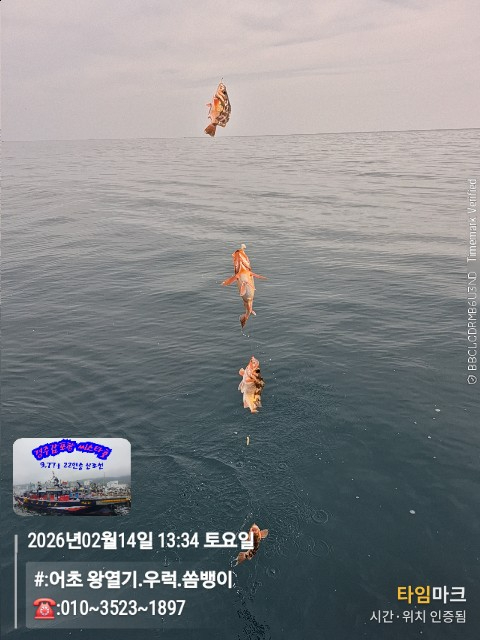 2026-02-14 13.34.14__(#-어초 왕열기.우럭.쏨뱅이)_(-010~3523~1897).jpg
