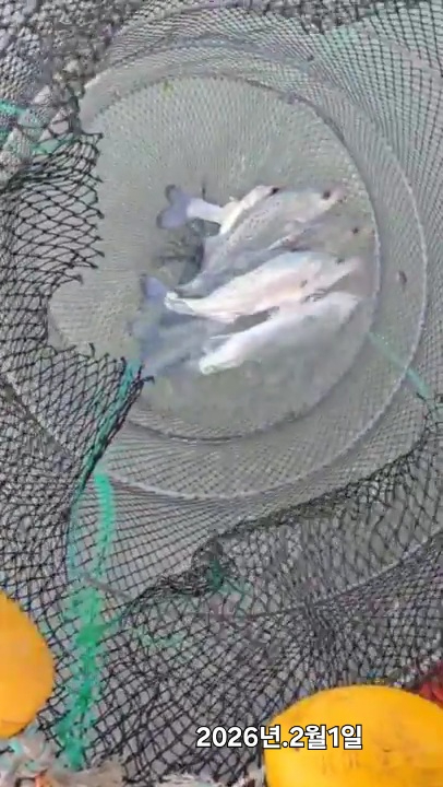 2026_02_01 12_30 (1)(1).jpg