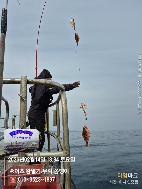 2026-02-14 13.34.04__(#-어초 왕열기.우럭.쏨뱅이)_(-010~3523~1897).jpg