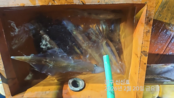 신신낚시 강구점 신신호_사진_20260221_8.jpg