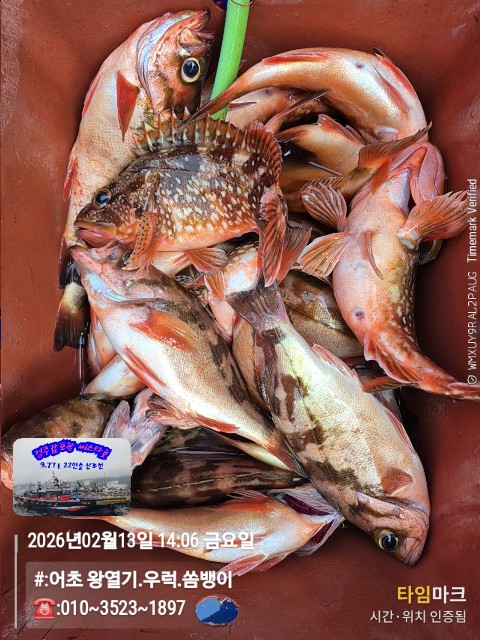 2026-02-13 14.06.45__(#-어초 왕열기.우럭.쏨뱅이)_(-010~3523~1897).jpg