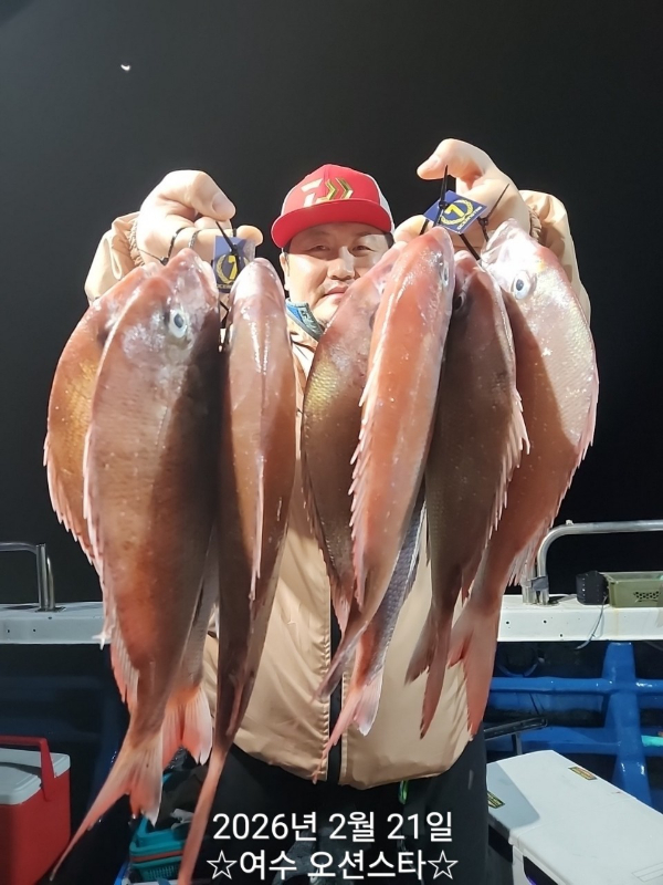 ☆여수오션스타피싱☆쭈꾸미낚시 문어낚시 갑오징어낚시 타이라바 여수갈치낚시 갈치지깅_사진_20260222_11.jpg