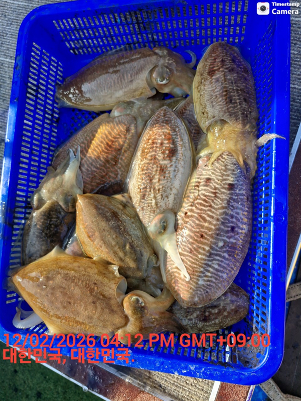 제주갈치낚시 화원호_사진_20260212_19.jpeg