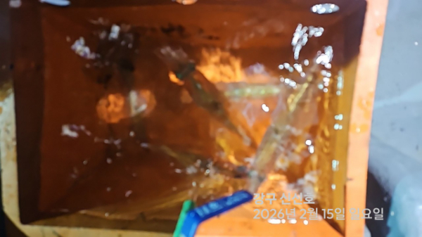 신신낚시 강구점 신신호_사진_20260216_14.jpg