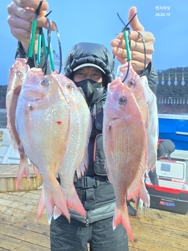 1004피싱_사진_20260219_12.jpg