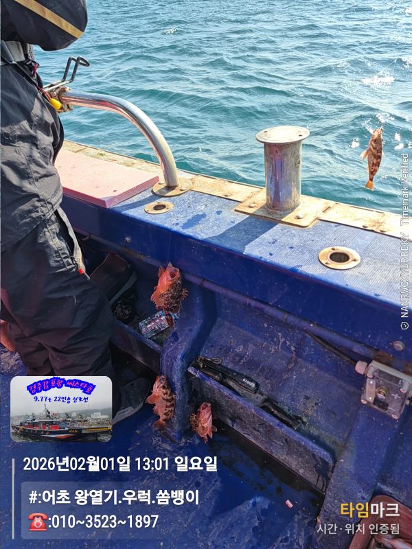 2026-02-01 13.01.07__(#-어초 왕열기.우럭.쏨뱅이)_(-010~3523~1897).jpg