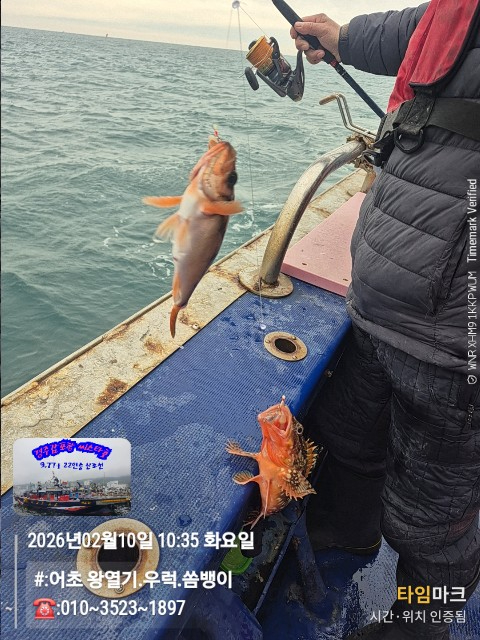 2026-02-10 10.35.09__(#-어초 왕열기.우럭.쏨뱅이)_(-010~3523~1897).jpg