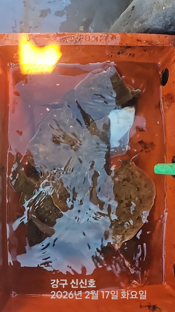 신신낚시 강구점 신신호_사진_20260217_11.jpg