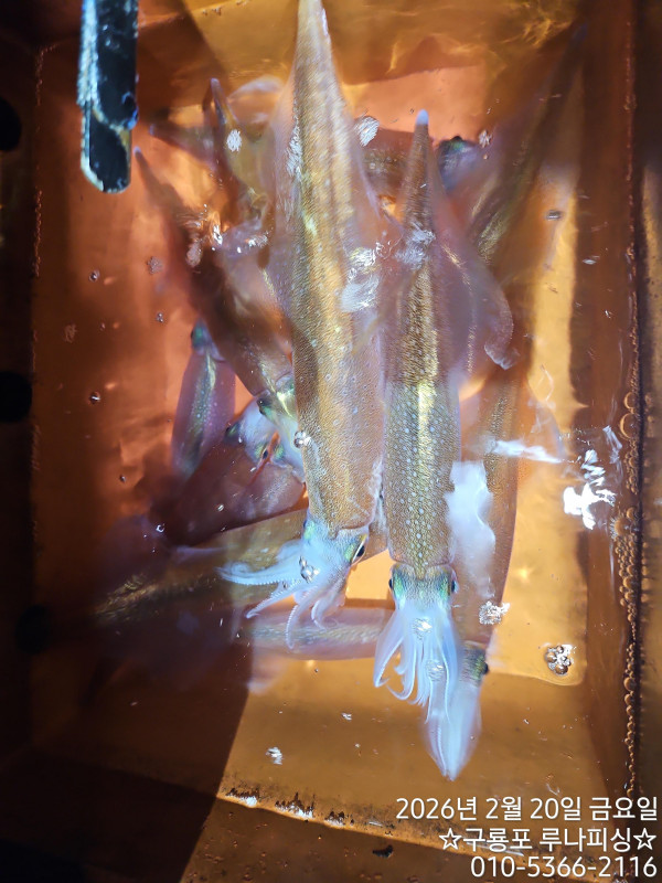 TimePhoto_20260220_232125.jpg