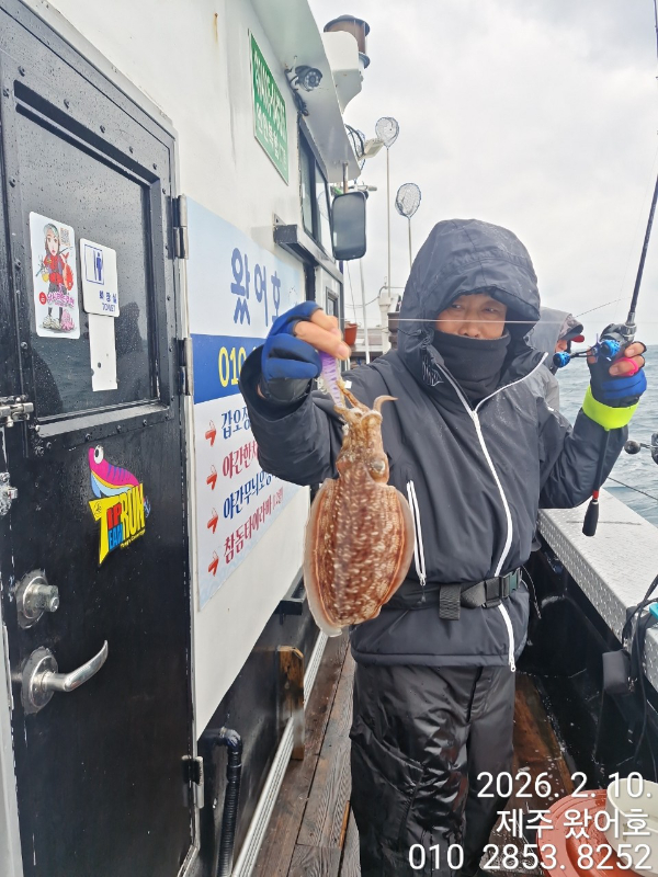 제주왔어호_사진_20260211_25.jpg