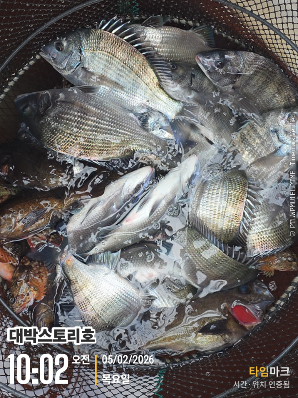 2026-02-05 10.02.59__(대박스토리호).jpg