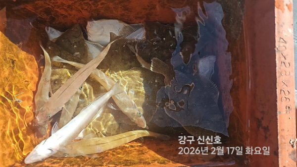 신신낚시 강구점 신신호_사진_20260217_18.jpg