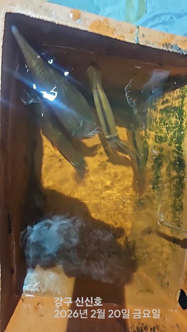 신신낚시 강구점 신신호_사진_20260221_12.jpg