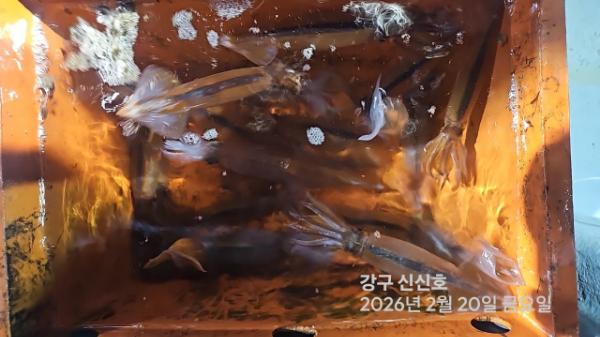 신신낚시 강구점 신신호_사진_20260221_11.jpg