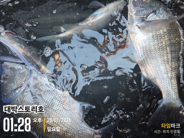 2026-01-25 01.28.37__(대박스토리호).jpg