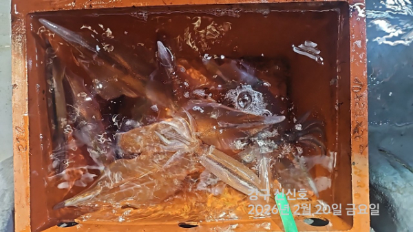 신신낚시 강구점 신신호_사진_20260221_17.jpg