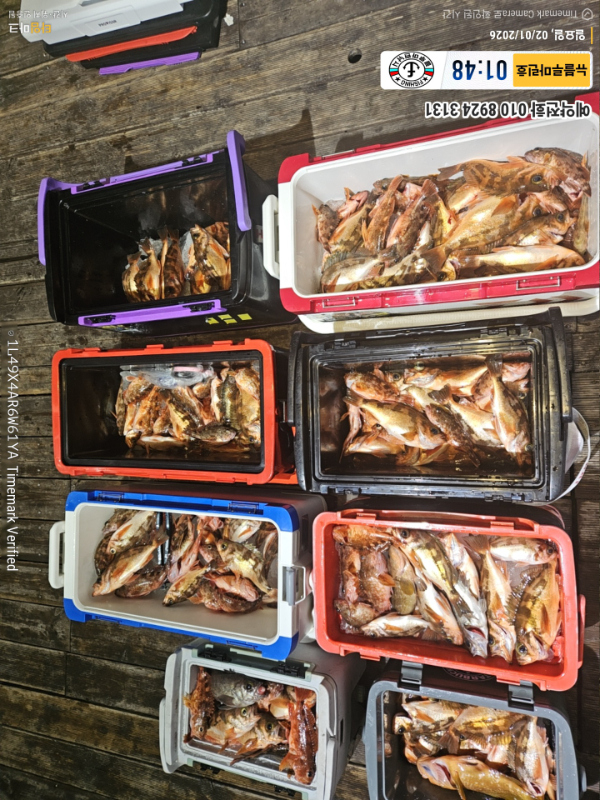 2026-02-01 01.48.39__(제목-뉴블루마린호)_(예약전화 010 8924 3131).jpg