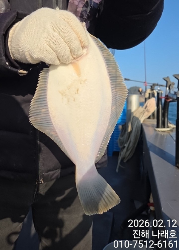 나래피싱(문어,낙지,갈치,호래기,감성돔)_사진_20260212_2.jpg