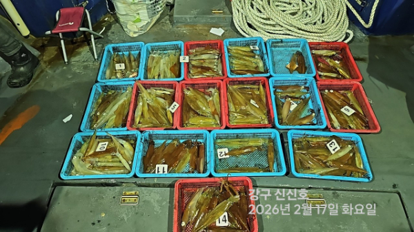 신신낚시 강구점 신신호_사진_20260218_7.jpg